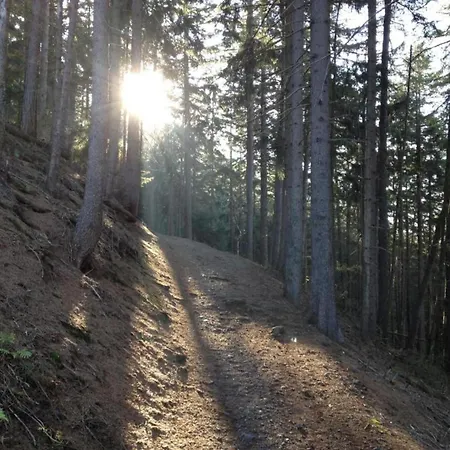 Garden Escape In Сasa de vacaciones