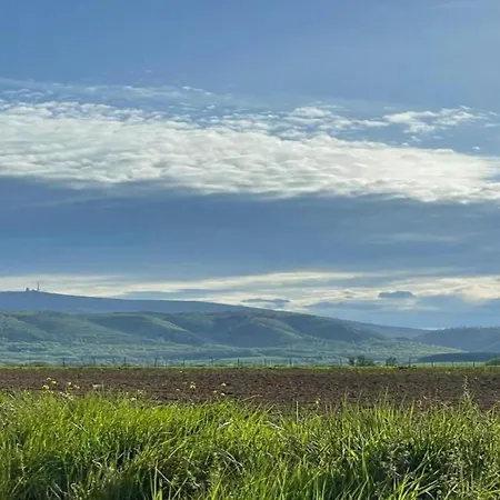 Vakantiehuis Garden Escape In