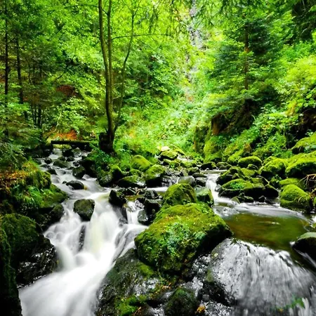 Vakantiehuis Garden Escape In *