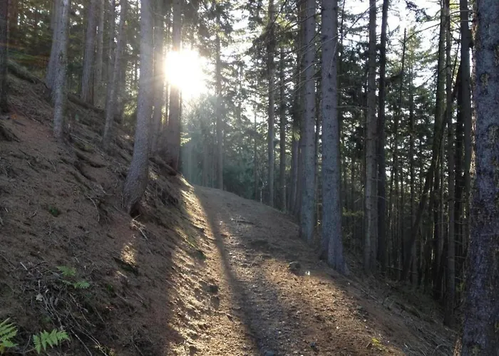 Garden Escape In Holiday home