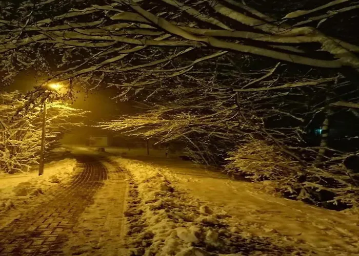 Holiday home Garden Escape In *