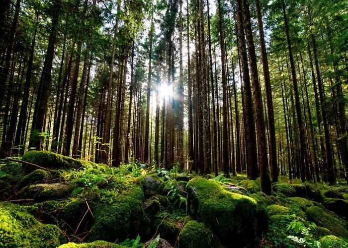 Garden Escape In Holiday home